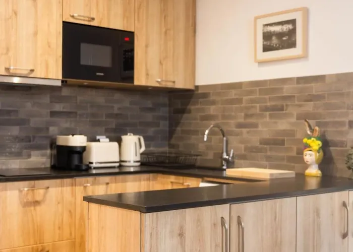 Ref 2038 - - Superb Fully Renovated One-bedroom Apartamento Cannes